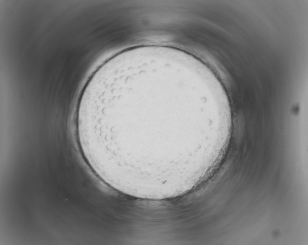 X0000116571432201001211234