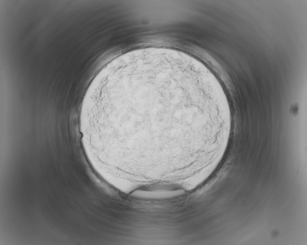 X0000116571433201001211234