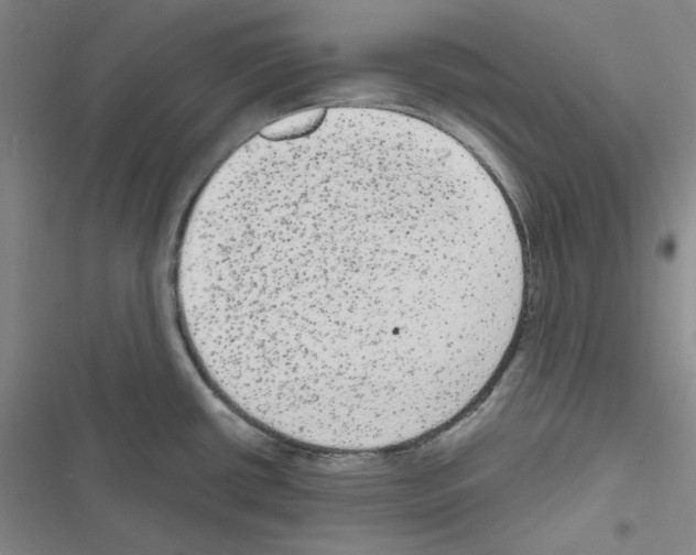 X0000116571434201001211234