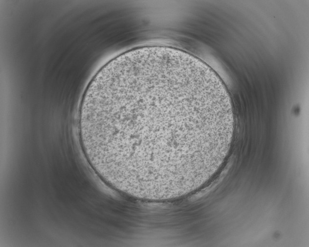 X0000116571436201001211234