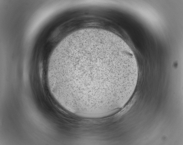 X0000116571438201001211234