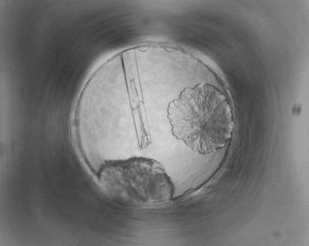 X0000116571440201001211234