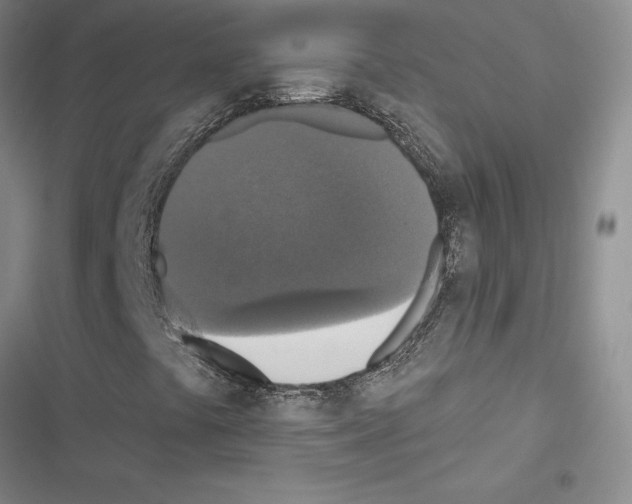 X0000116571441201001211234