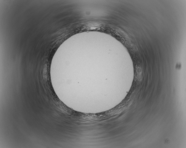 X0000116571442201001211234