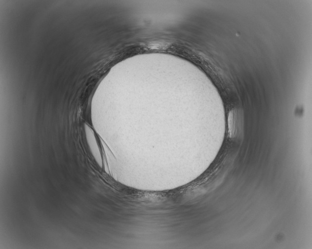 X0000116571443201001211234