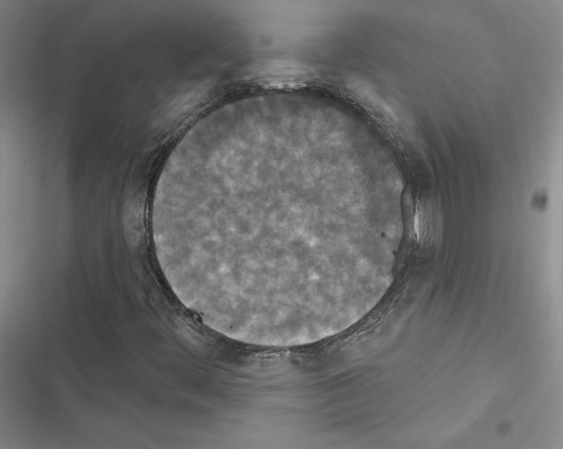 X0000116571444201001211234