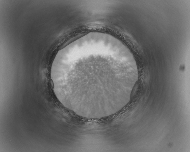 X0000116571445201001211234