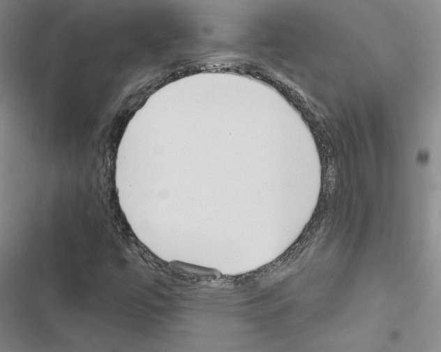 X0000116571447201001211234