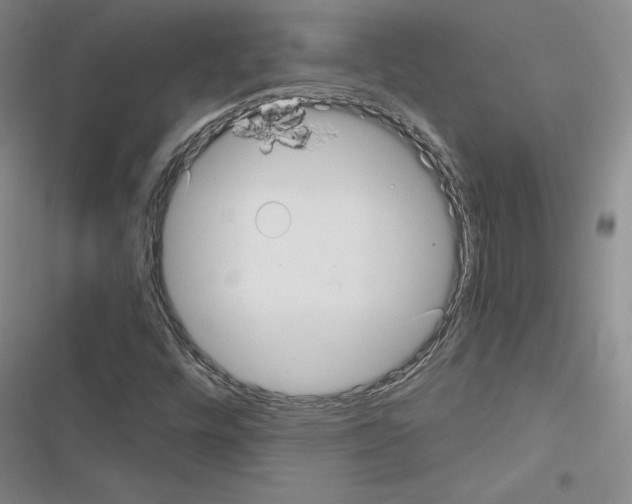 X0000116571448201001211234