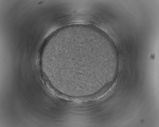 X0000116571450201001211234