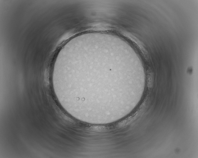 X0000116571451201001211234