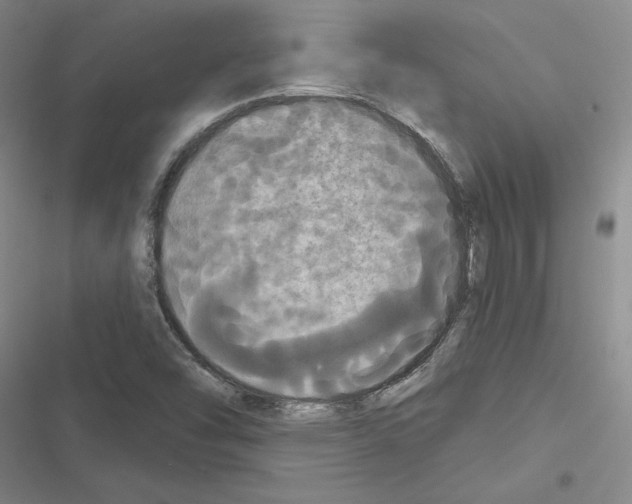 X0000116571454201001211233