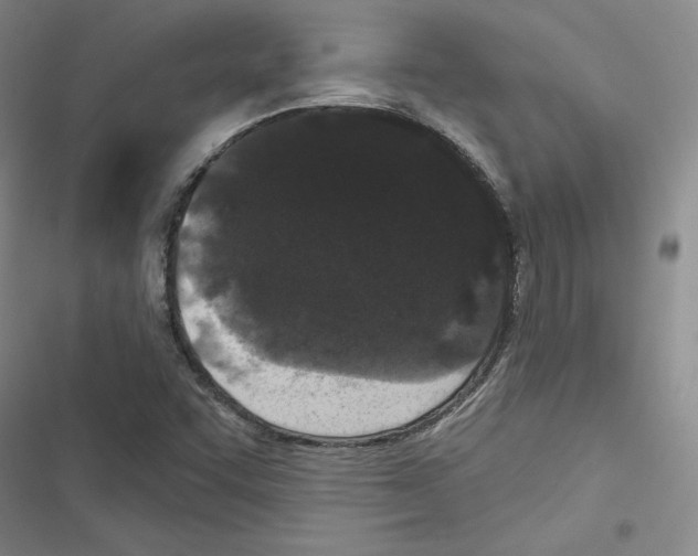 X0000116571455201001211233