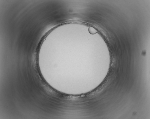 X0000116571458201001211233