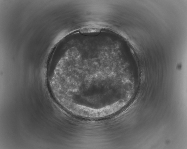 X0000116571459201001211233