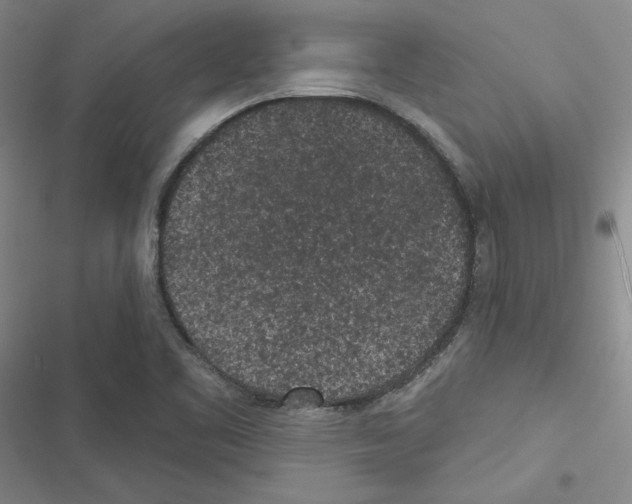 X0000116571461201001211233