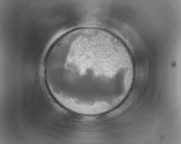 X0000116571462201001211233