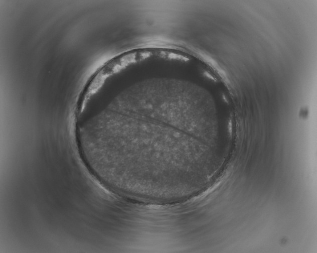 X0000116571463201001211233