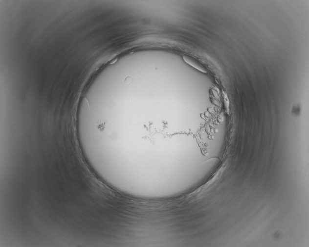 X0000116571465201001211233