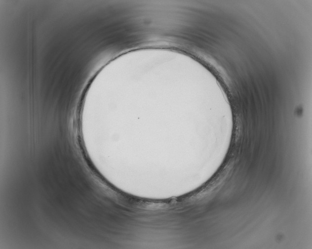 X0000116571467201001211233