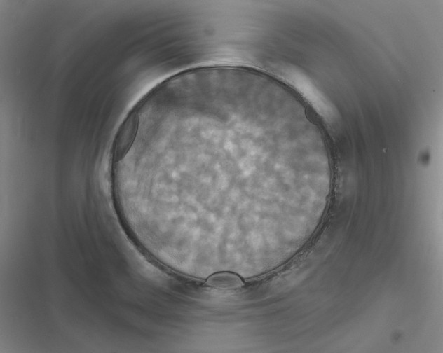 X0000116571468201001211233