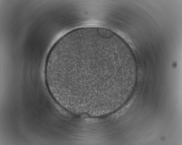 X0000116571469201001211233