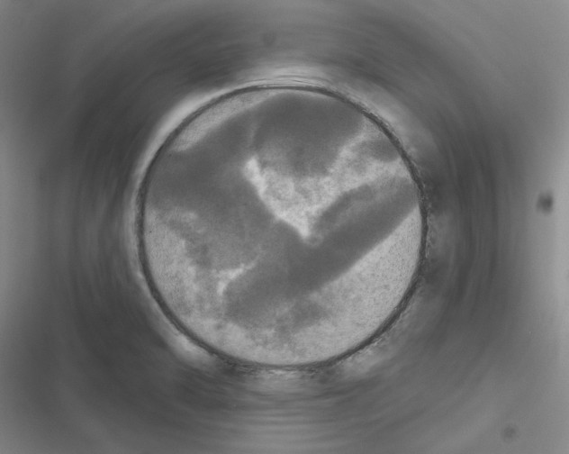 X0000116571470201001211233