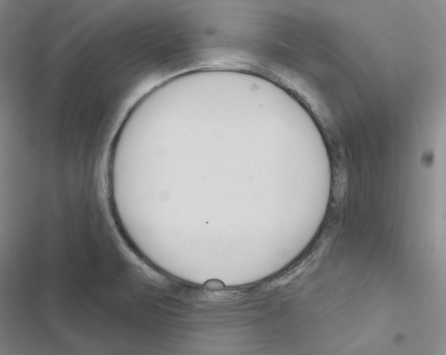 X0000116571471201001211233