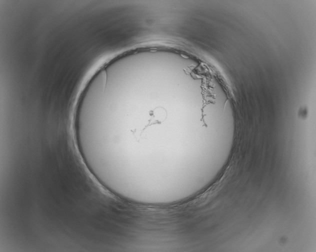 X0000116571472201001211233