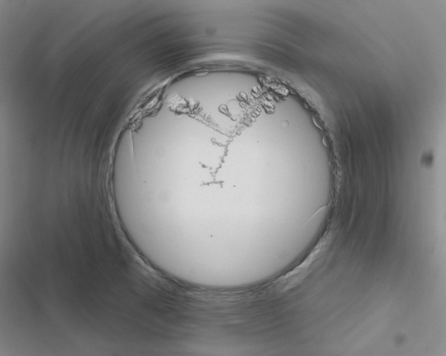 X0000116571473201001211233