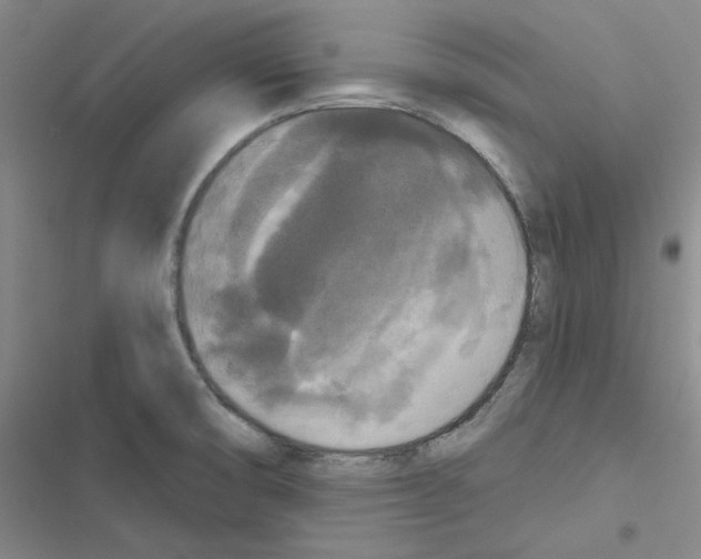 X0000116571474201001211233