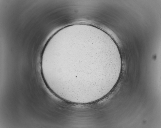 X0000116571476201001211233