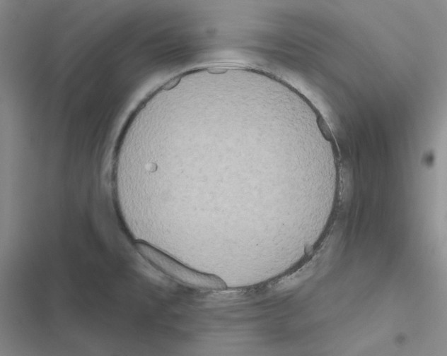 X0000116571477201001211233