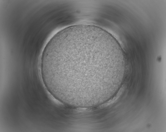 X0000116571478201001211233