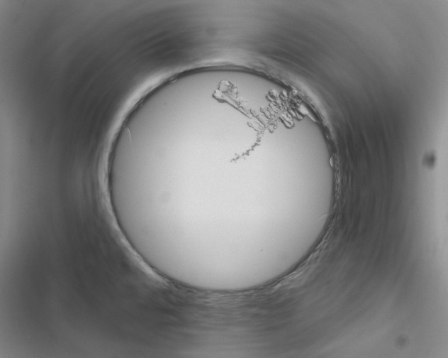 X0000116571480201001211233