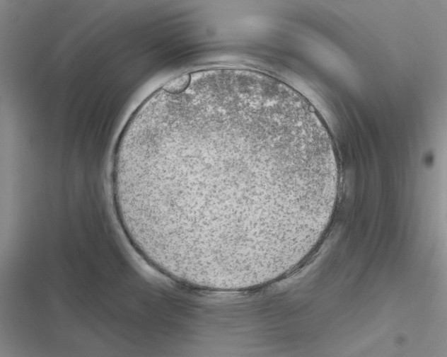 X0000116571482201001211233