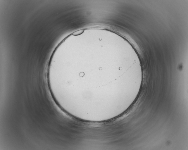 X0000116571484201001211233