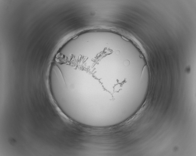 X0000116571485201001211233