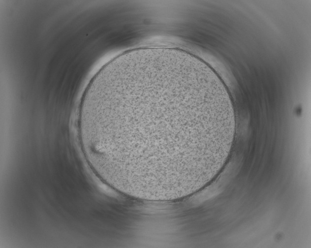 X0000116571486201001211233