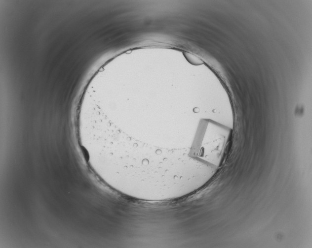 X0000116571488201001211233