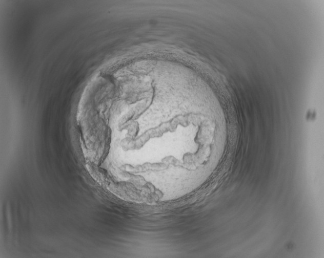 X0000116571489201001211232