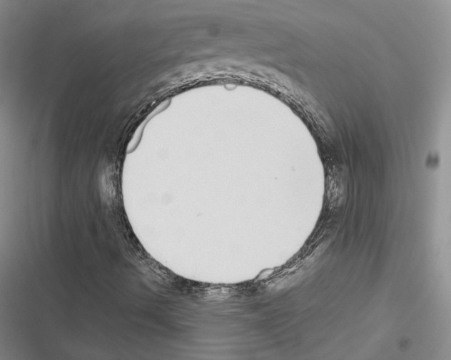 X0000116571490201001211232