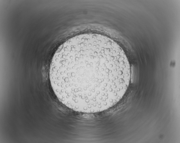 X0000116571491201001211232