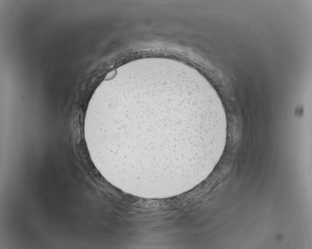 X0000116571493201001211232