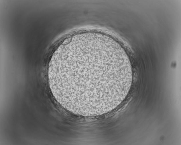 X0000116571494201001211232