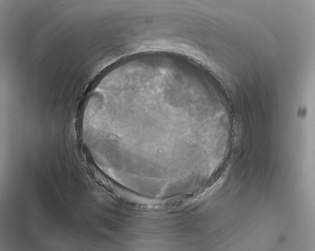 X0000116571497201001211232