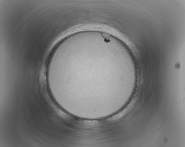 X0000116571498201001211232