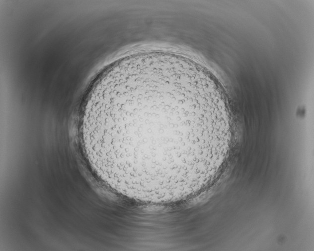 X0000116571499201001211233