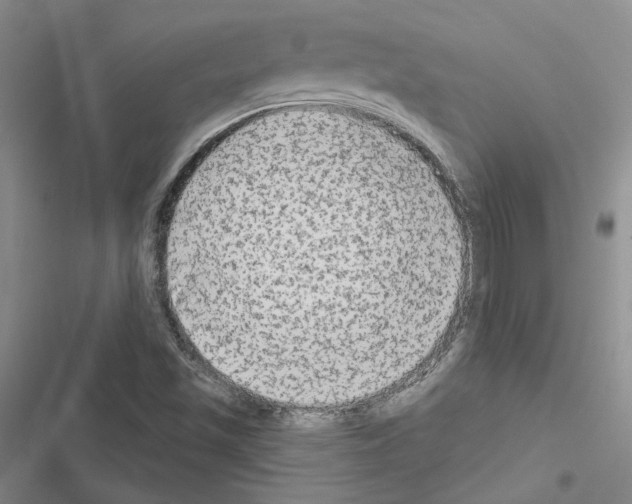 X0000116571501201001211233