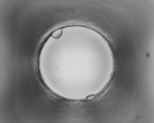 X0000116571502201001211233